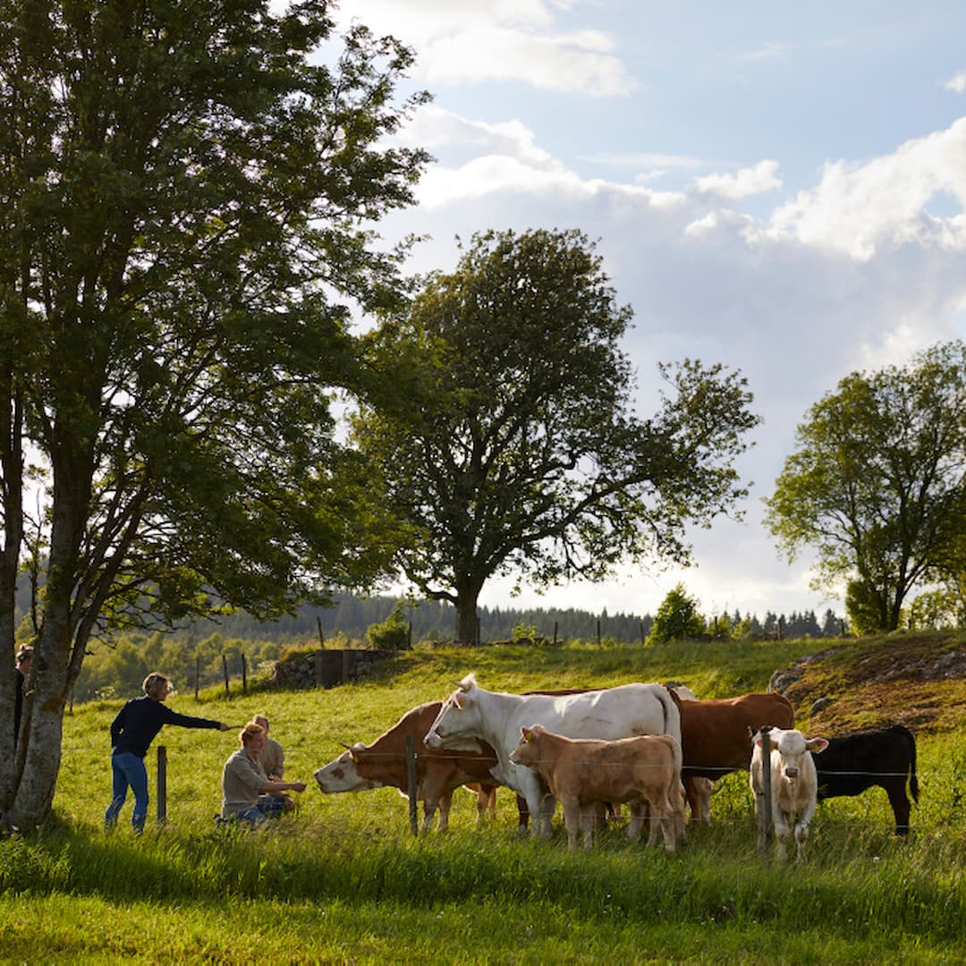 SmakenAvSverige